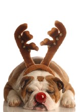 Weihnachtskarte