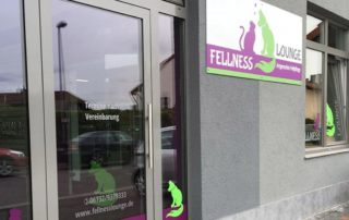 schaufensterbeschriftung-hundesalon-fellness