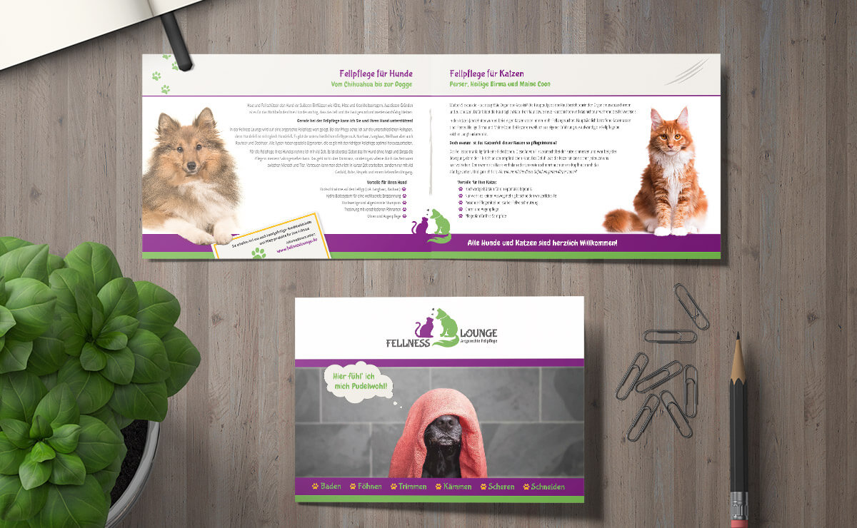 flyer – hundefriseur fellness